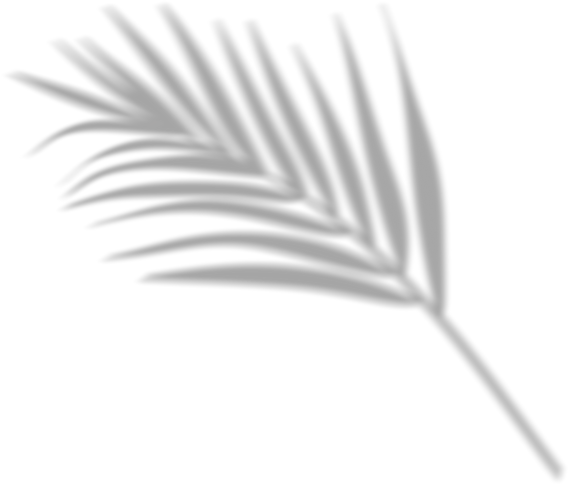 Plant Shadow Overlay